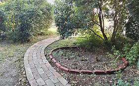 Garden In The Center